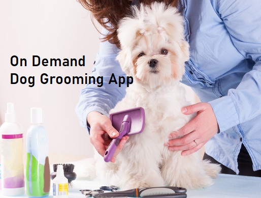 Mobile Dog Grooming App Service For Everyone