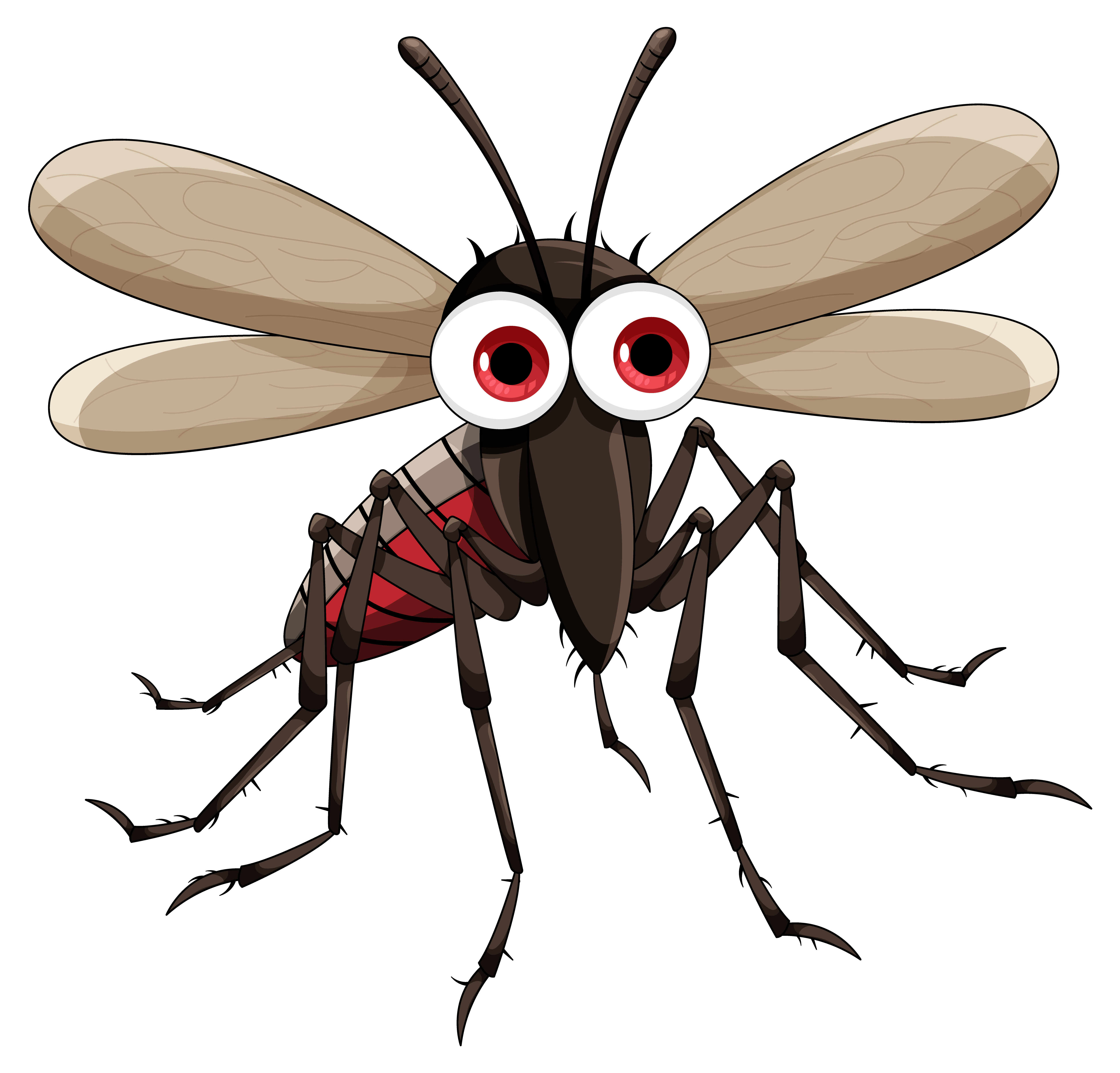 Exploring the lifespan of mosquitoes