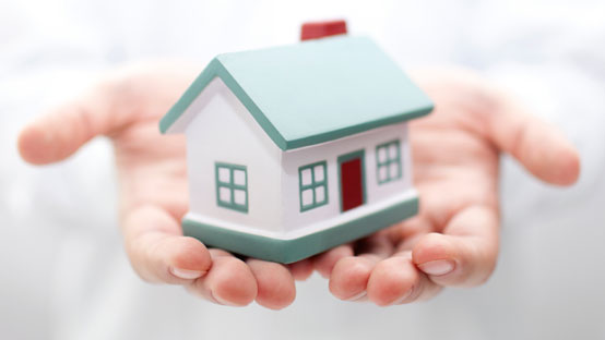 Rental Property Services In Pukekohe