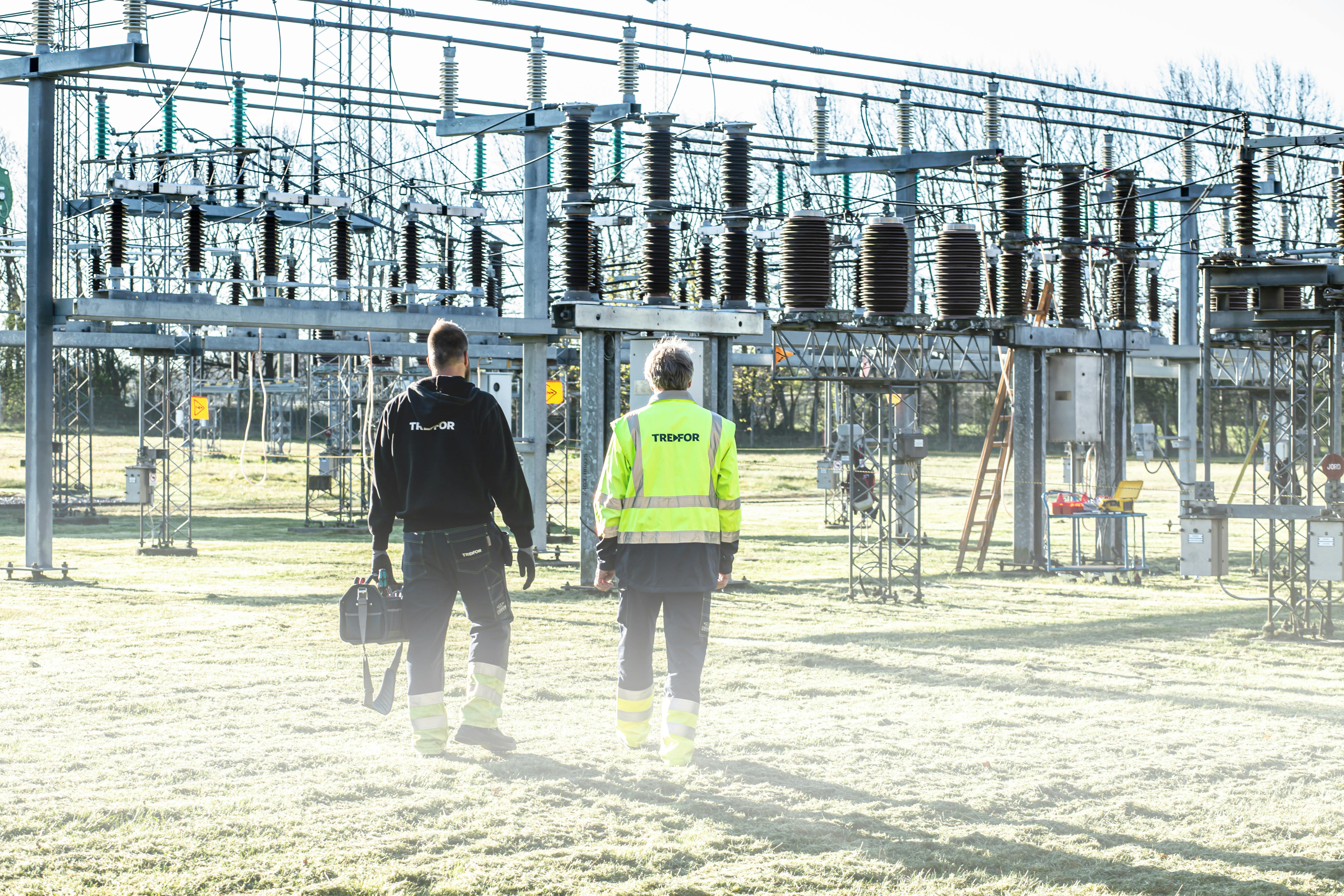 Substation Automation Market Overview 2024-2033 – Competitive Landscape and Strategies
