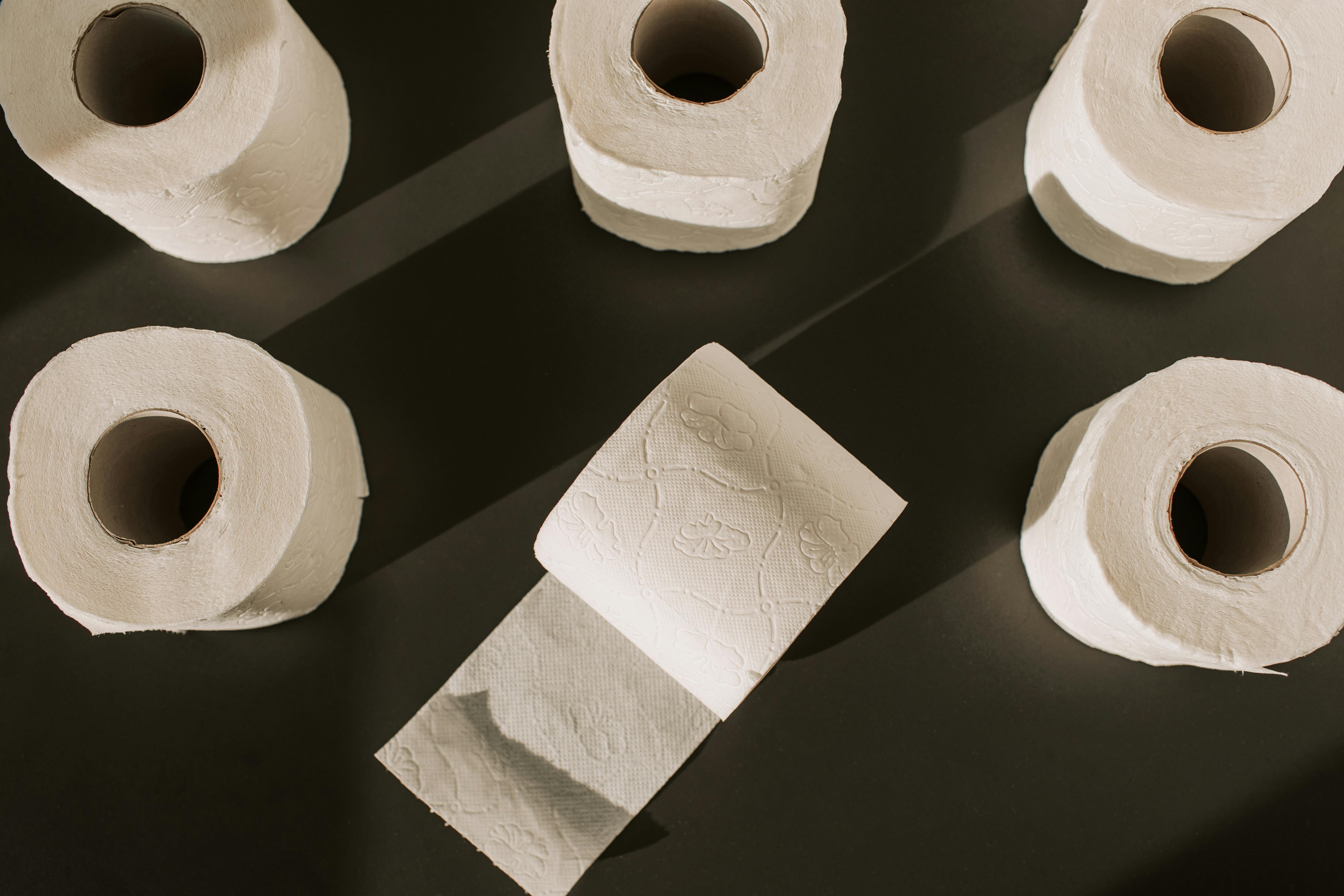 Global Toilet Roll Market Report 2024: Growth Rate, Major Segments And Regions