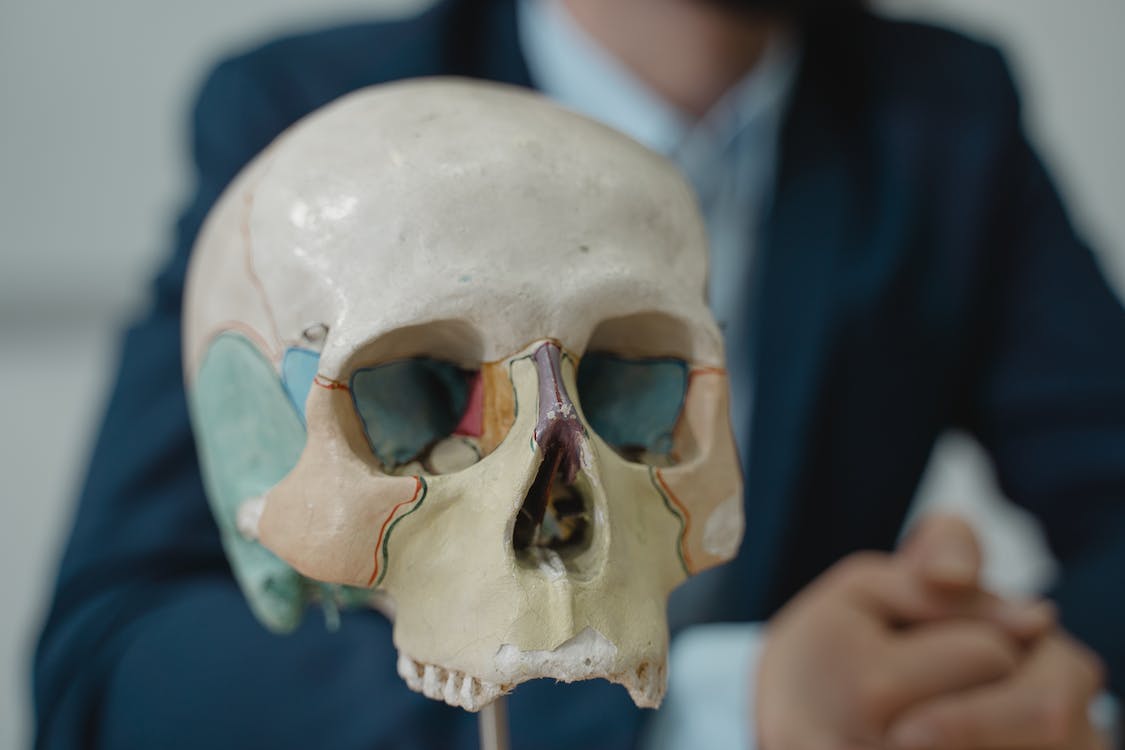 Skull Clamp Market Overview 2024-2033 – Competitive Landscape and Strategies