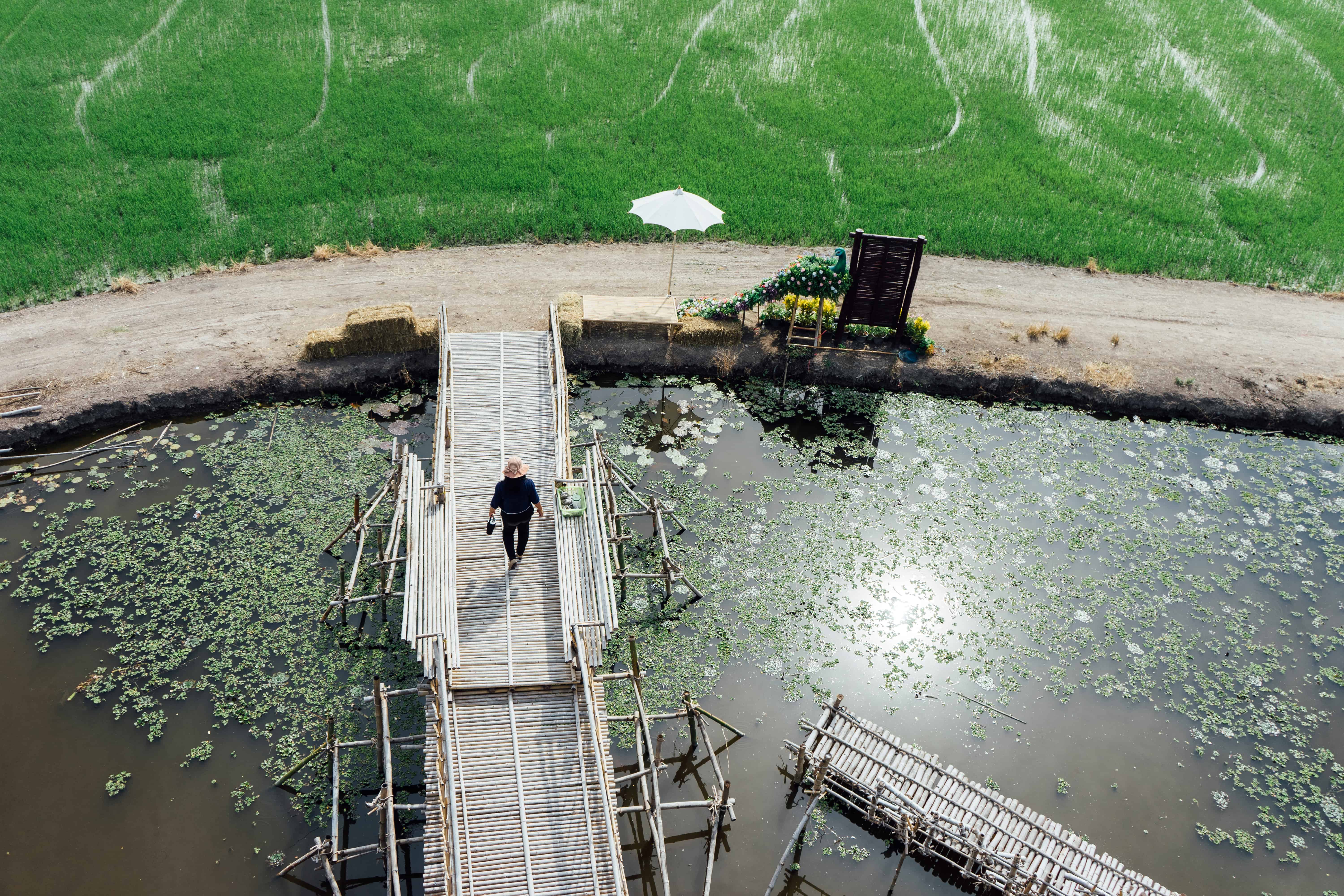 Global Packaged Wastewater Treatment Market Report 2024: Growth Rate, Major Segments And Regions