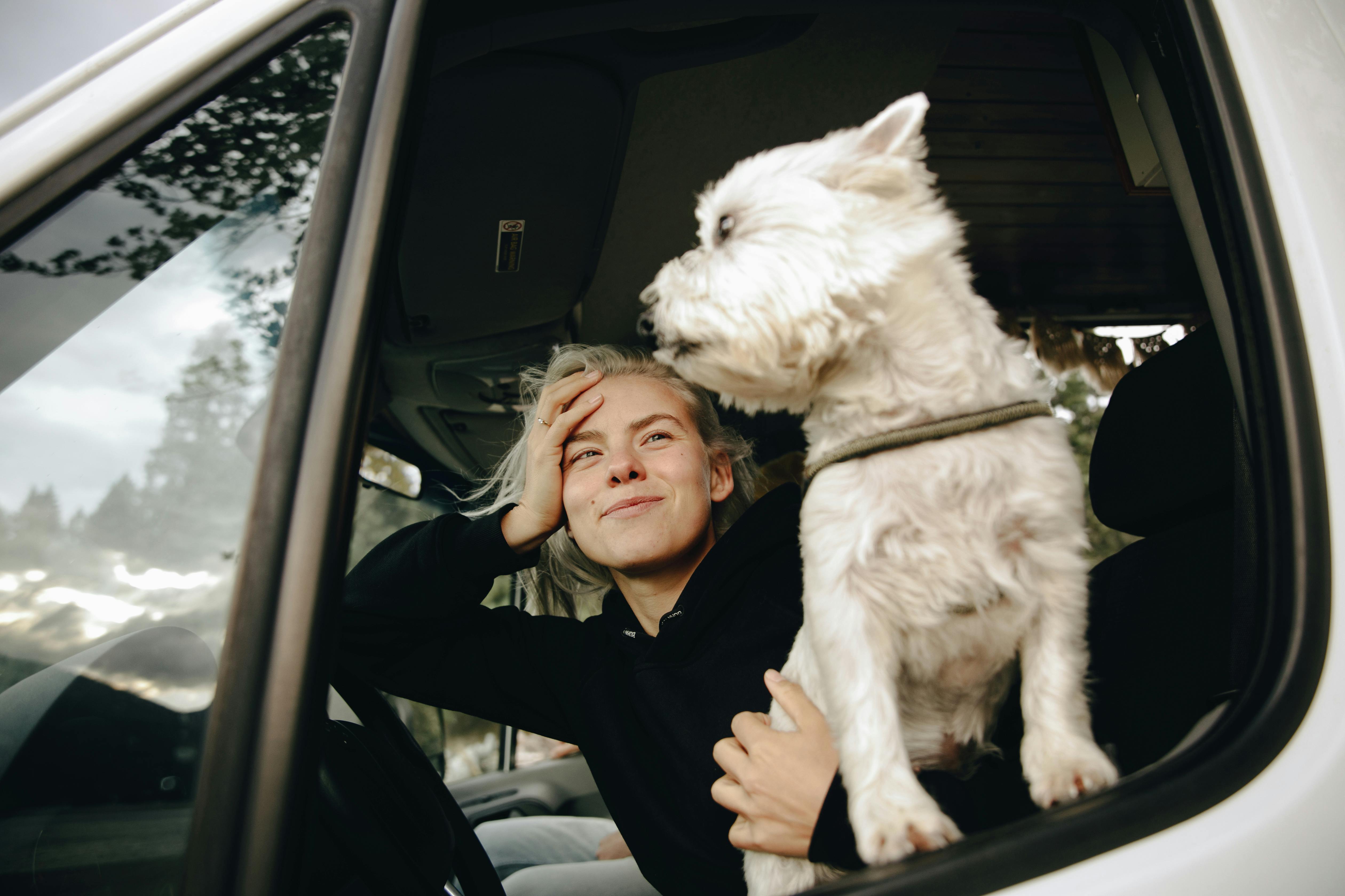 Global Pet Travel Services Market Report 2024: Growth Rate, Major Segments And Regions