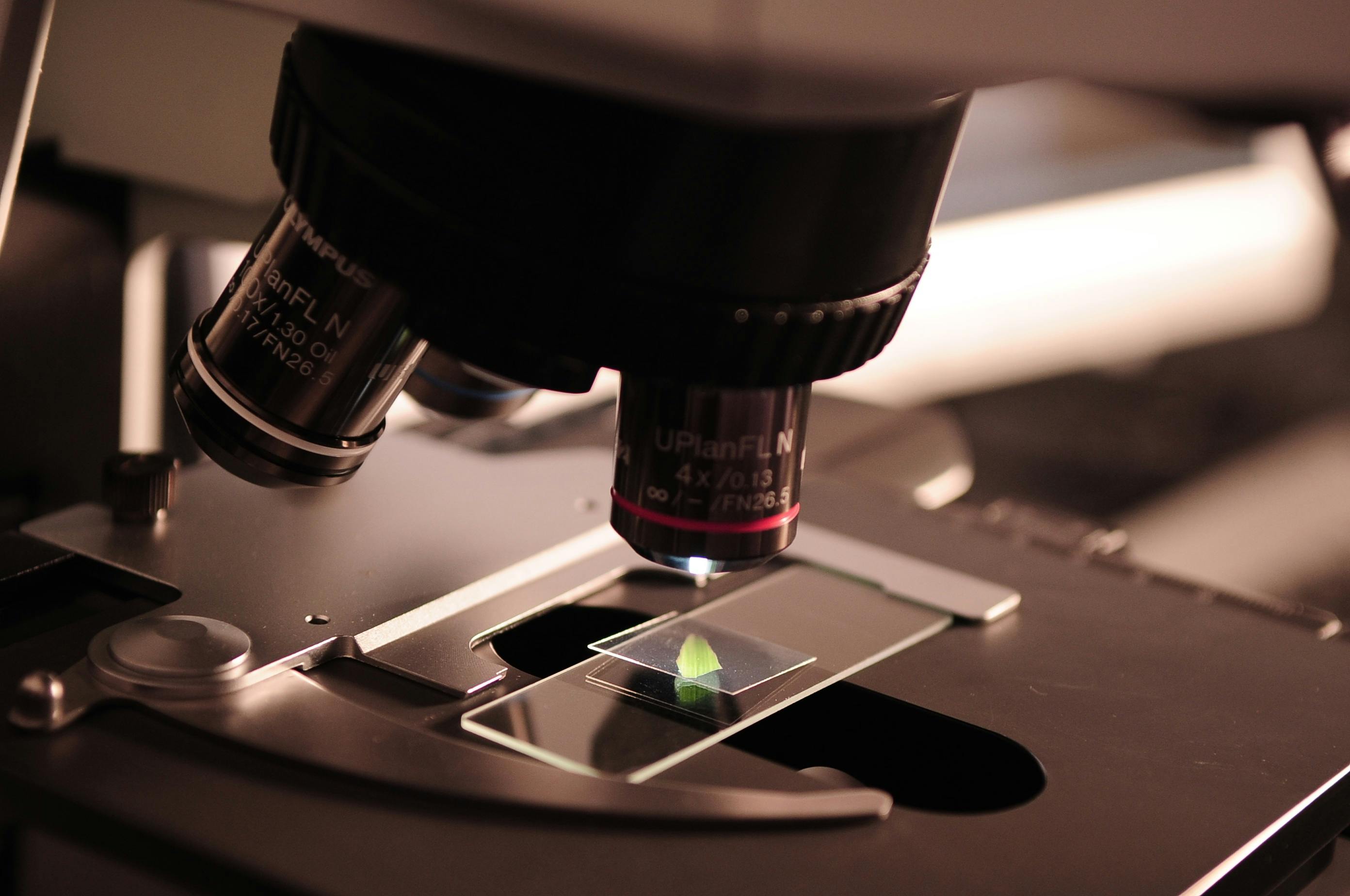 Global Metagenomics Market Report 2024: Growth Rate, Major Segments And Regions