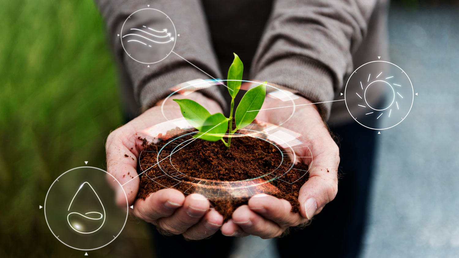 Global Biofuels Market Report 2024: Market Size, CAGR, Lucrative Segments And Top Regions