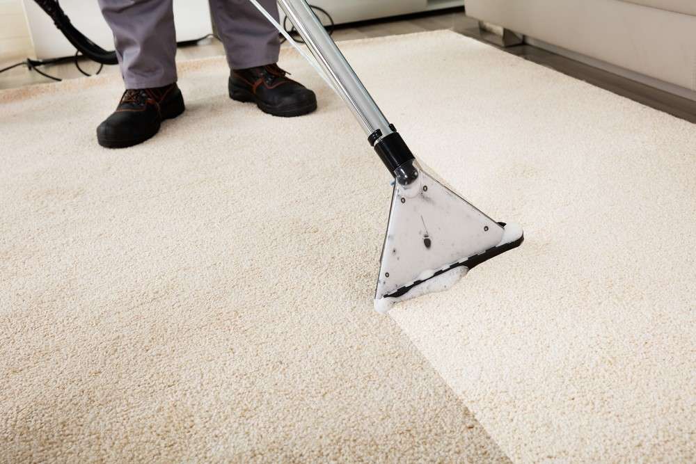 Is it Worth Getting the Carpets Cleaned? Tips for Carpet Cleaning in NYC