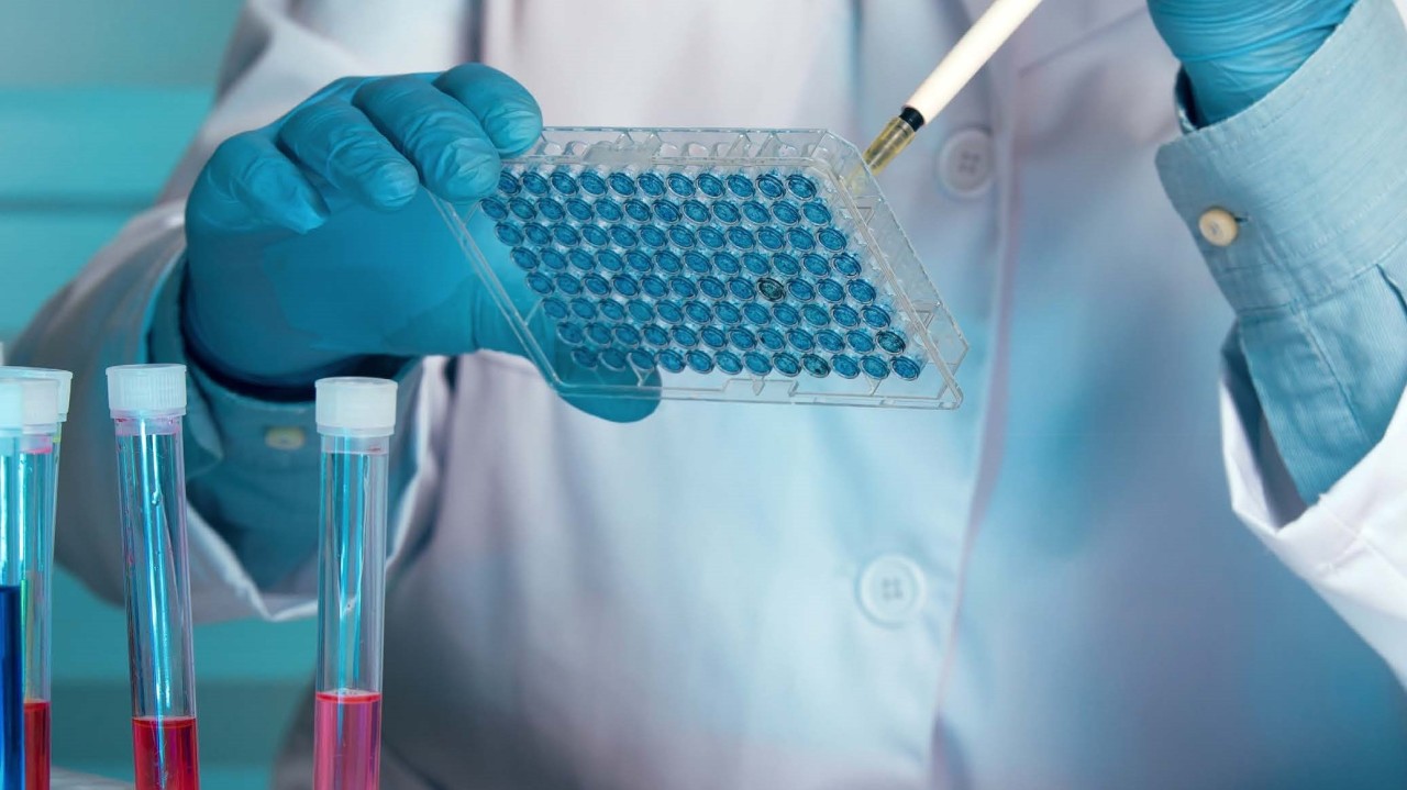Characterization of Magnetic Beads for Protein Binding