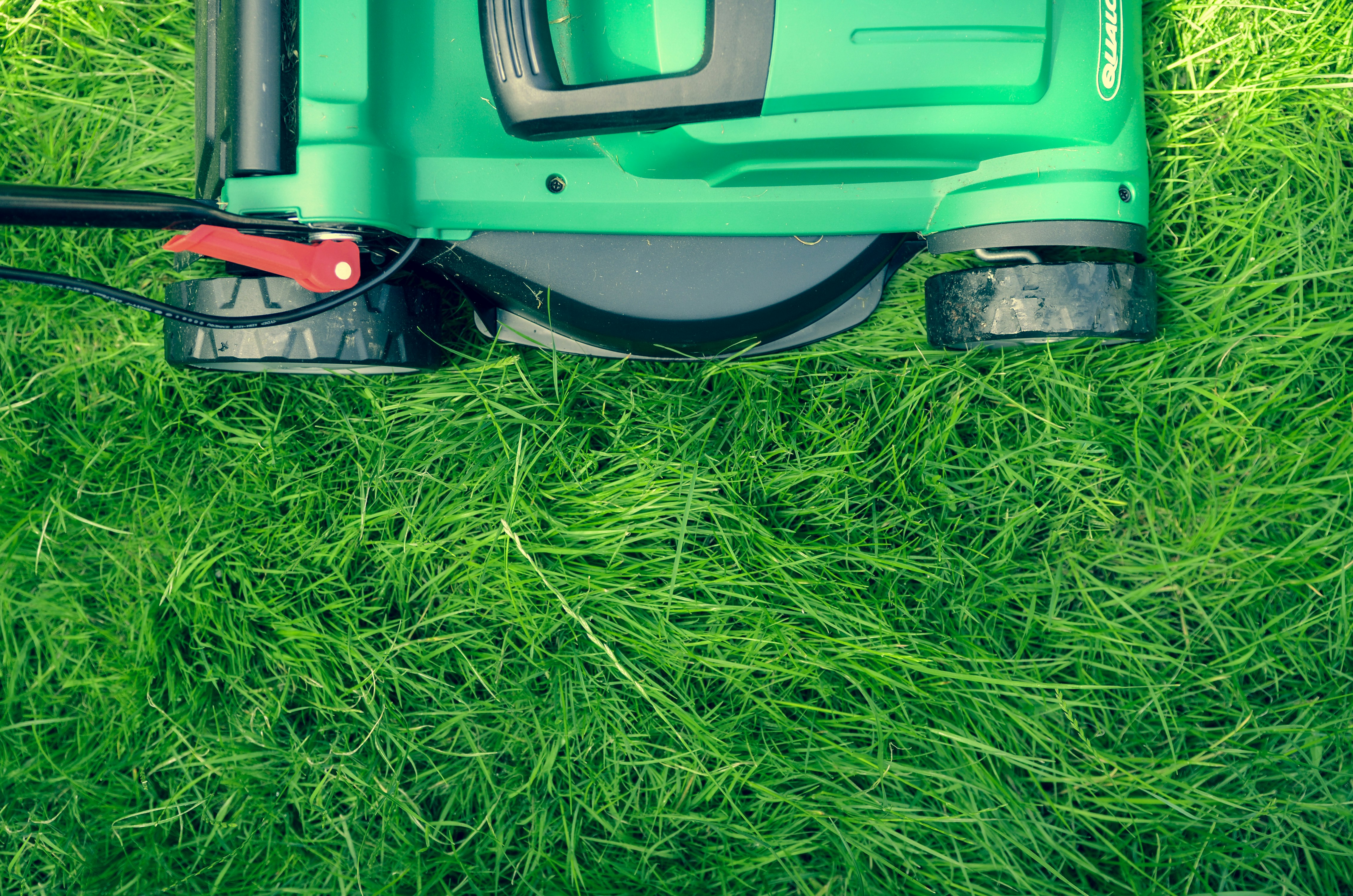 Insider Secrets: What Lawn Care Professionals Don't Want You to Know