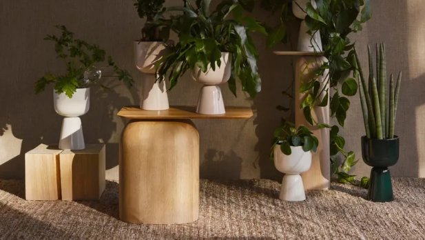 Boost Your Space Appeal | Integrating Plant Stands into Outdoor Areas
