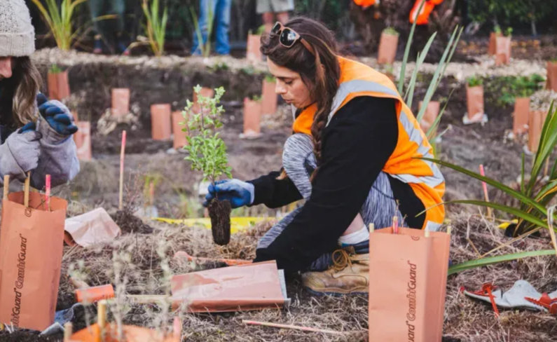 The Importance of Soil Conservation in Land Restoration Efforts