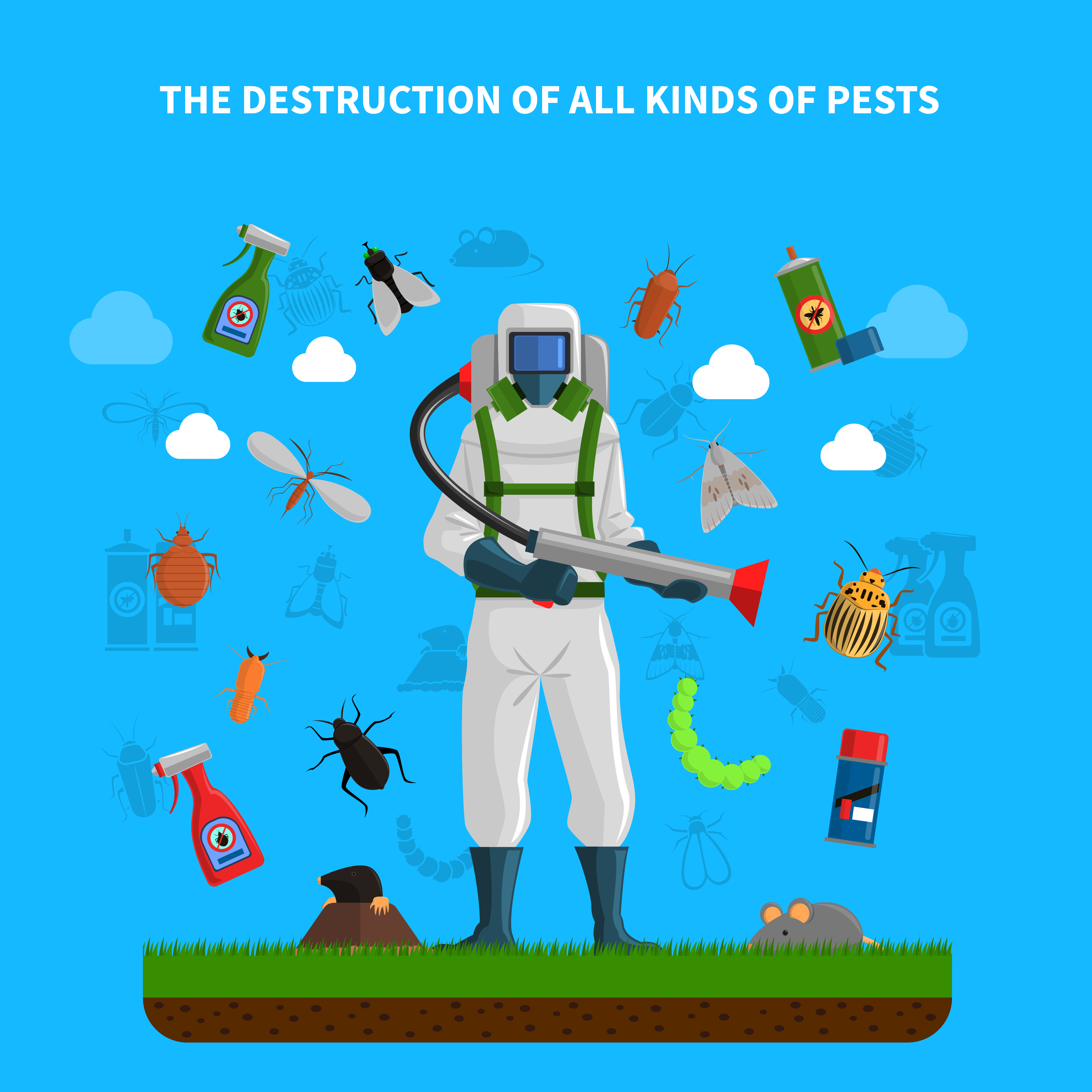 The Importance of Pest Control: Keeping Your Home Bug-Free