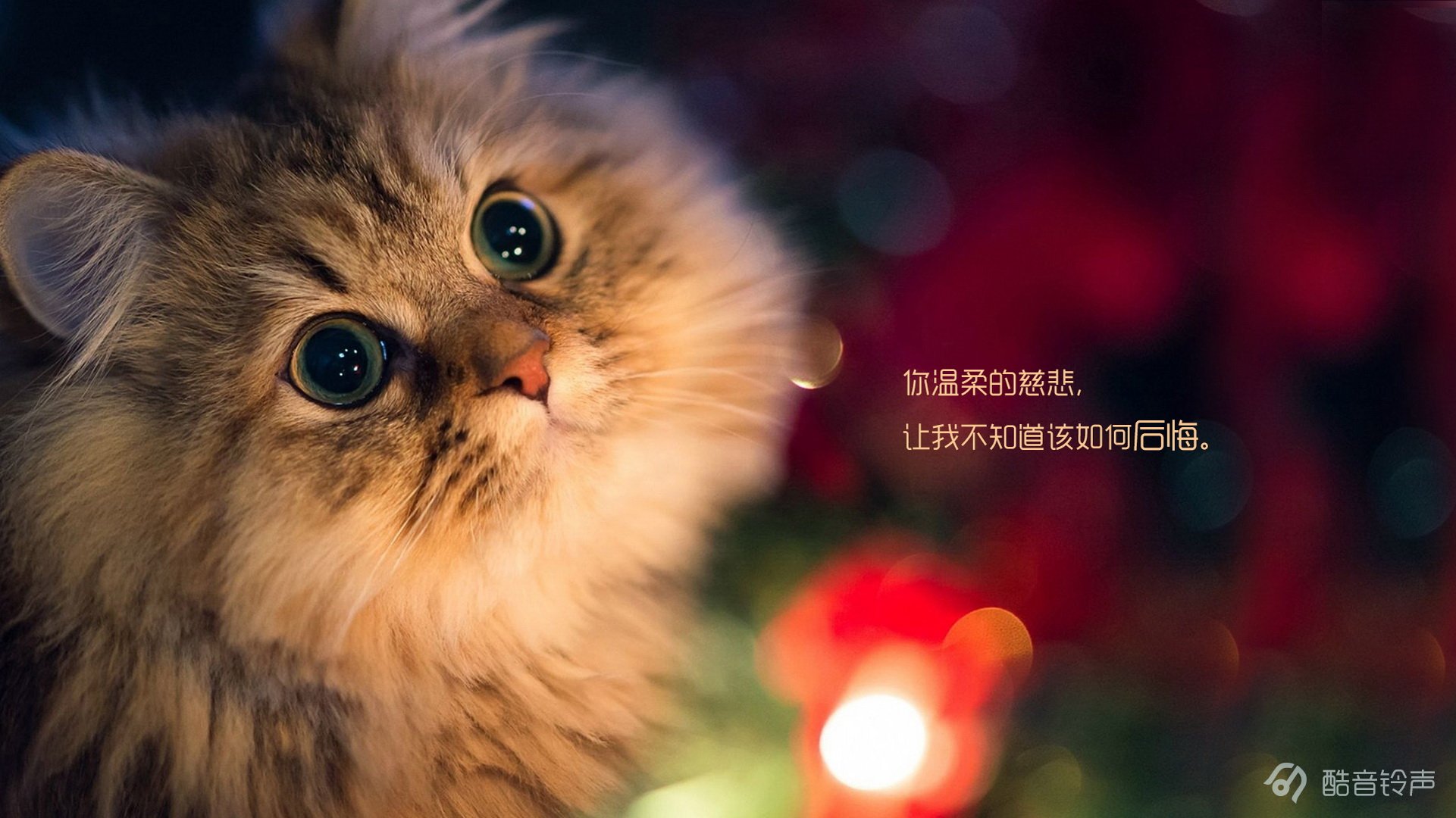 🐾 Pets: Soul-Warming Companions for Every Family ❤️