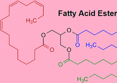 Fatty Acid Esters Market SWOT Analysis | Application and Demand Till 2022