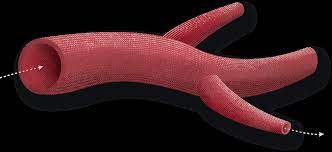 Global ACE Inhibitors Market Size, Growth, Trends, Report 2031