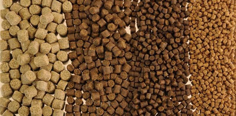 Aquatic Feed Market: Trends, Opportunities, and Forecasts 2031