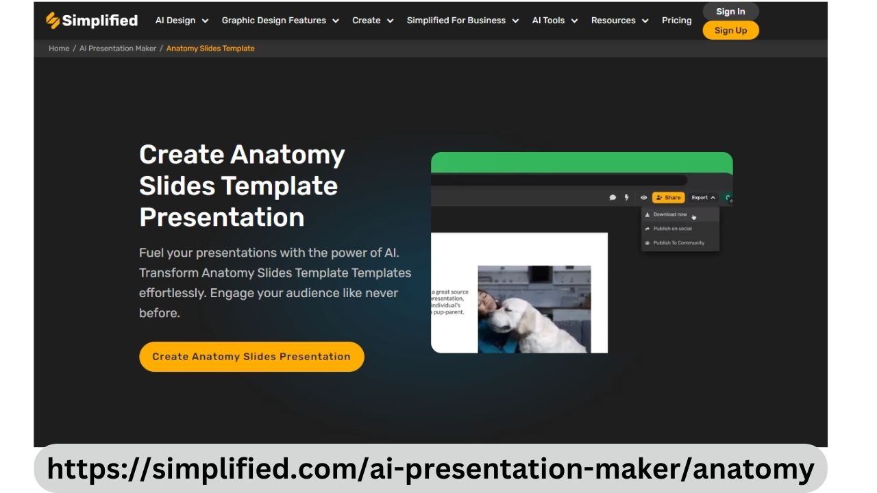 Free Online Presentation Maker: Anatomy Slides Template simplified
