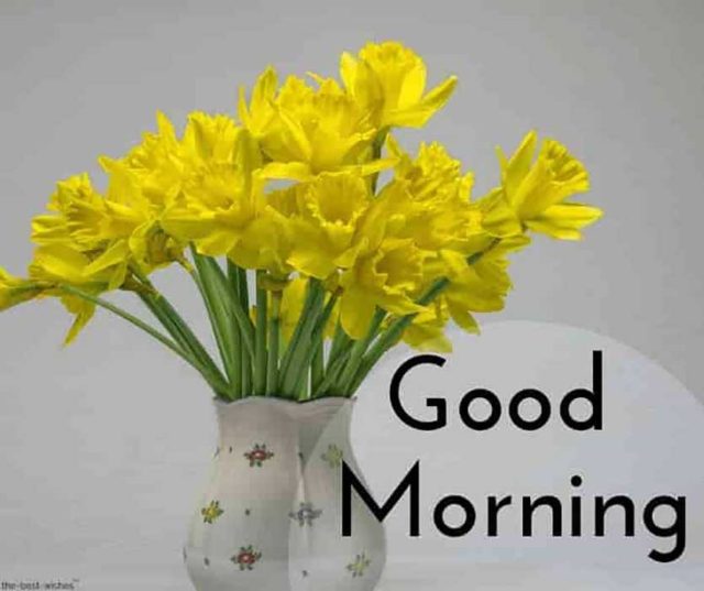 Top 10 Good Morning Images and Wishes: Inspire Your Day