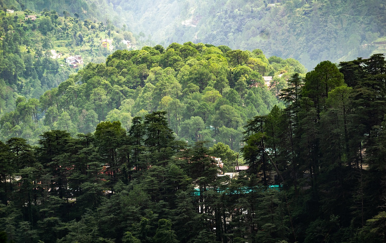 Homestays & Handicrafts: Learning Traditional Skills Through Local Living