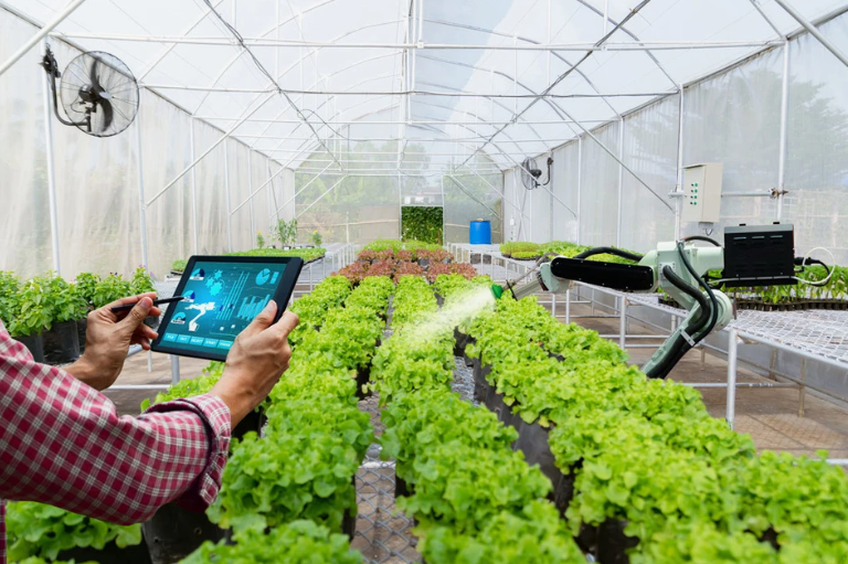 Smart Greenhouses: A Game-Changer for Climate-Resilient Farming