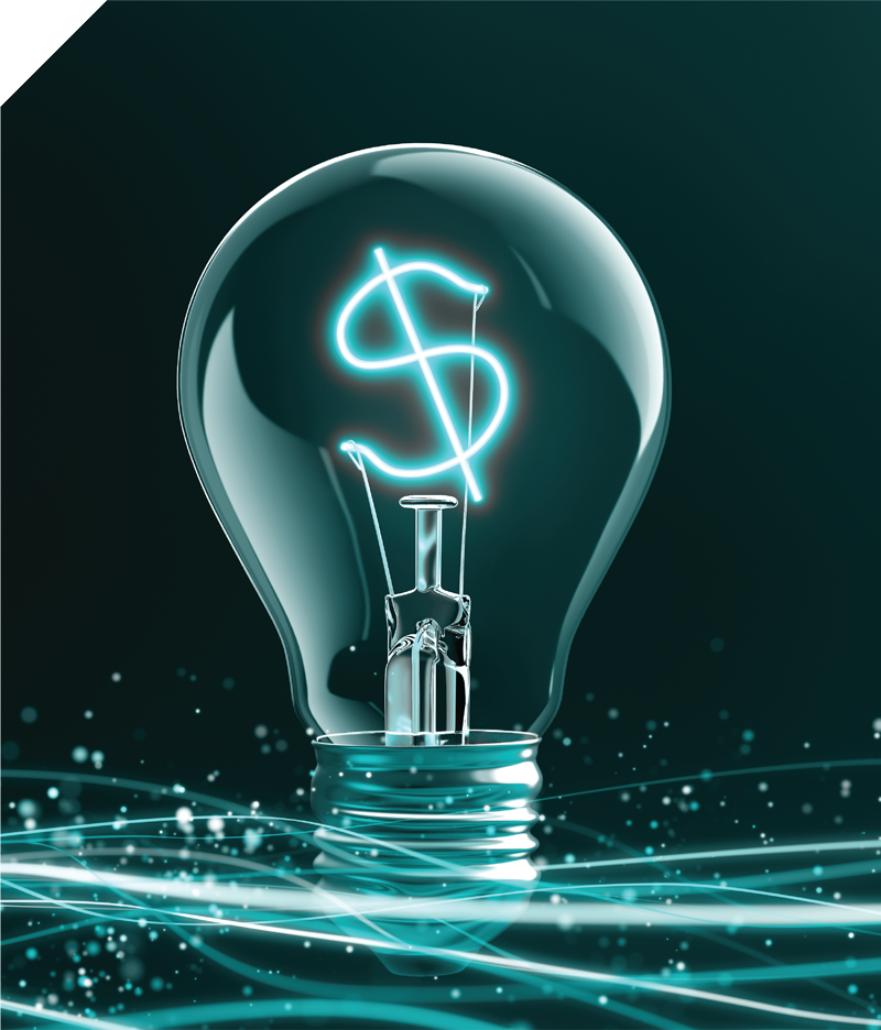 Efficient Portfolio Management Services for Diversified Investment Portfolios