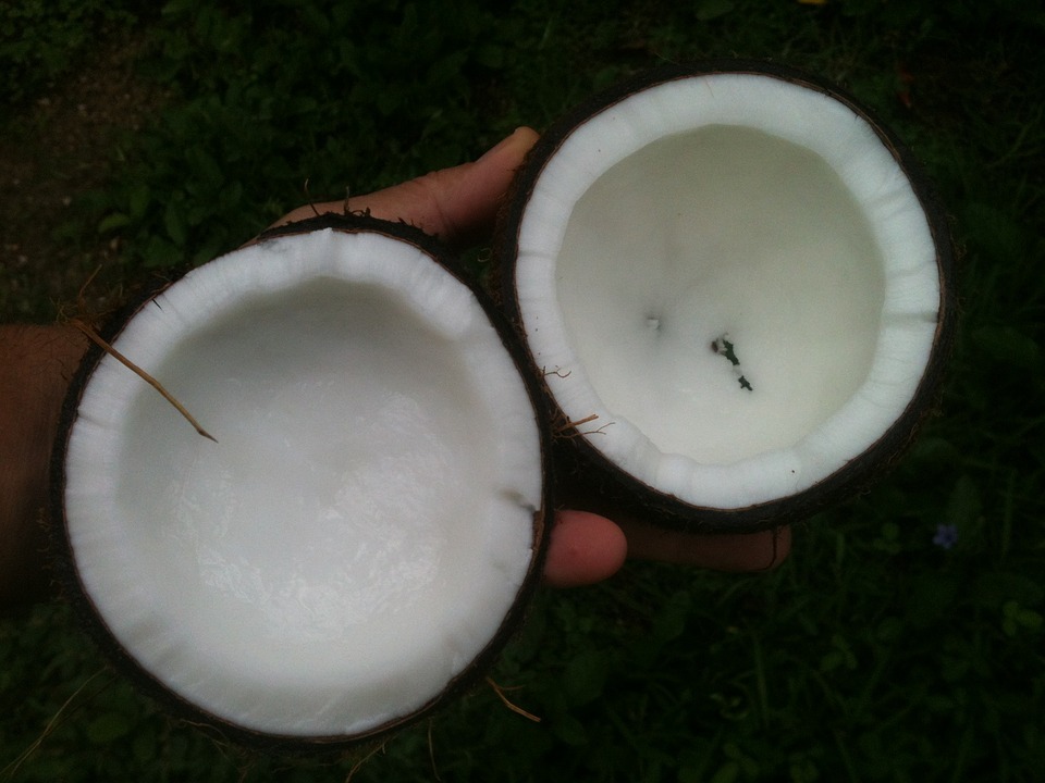 soymamicoco