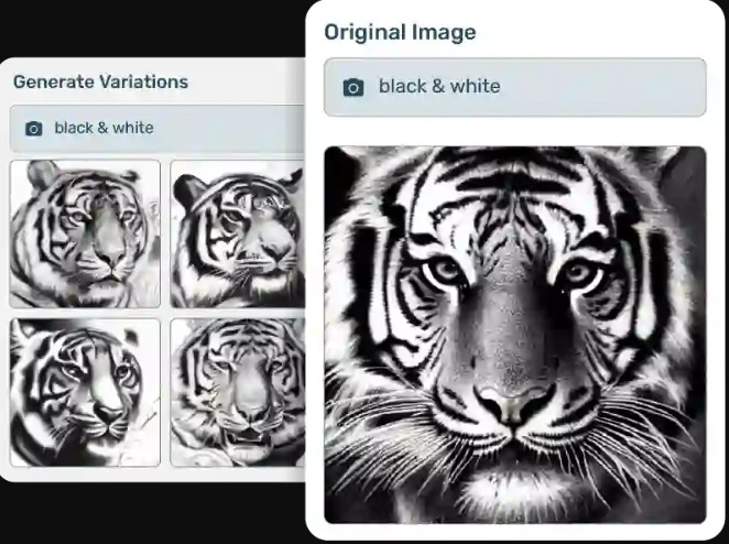 Generate Monochrome Art with AI Black & White Image Tool
