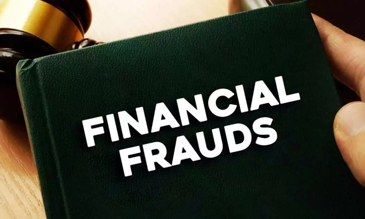 Navigating the Complex World of Financial Fraud Investigations: A Guide for Corporate Executives