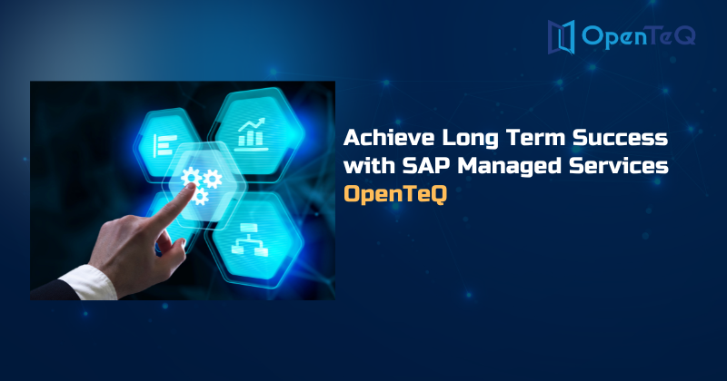 Achieve Long Term Success with SAP Managed Services | OpenTeQ