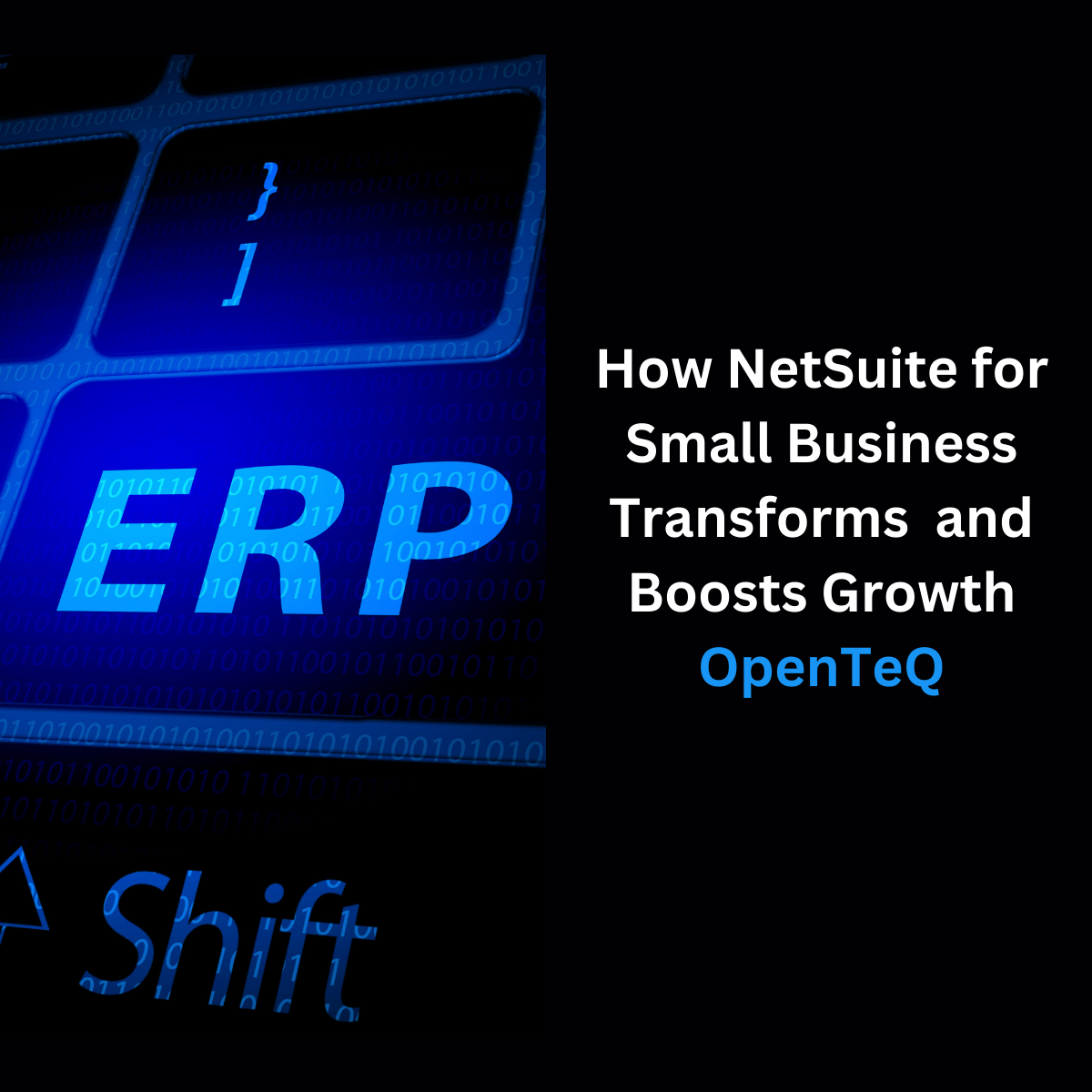  How NetSuite for Small Business Transforms  and Boosts Growth | OpenTeQ