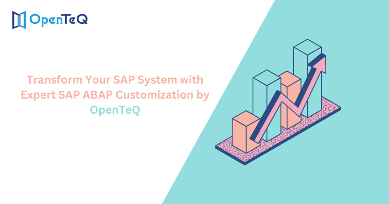 Transform Your SAP System with Expert SAP ABAP Customization | OpenTeQ 