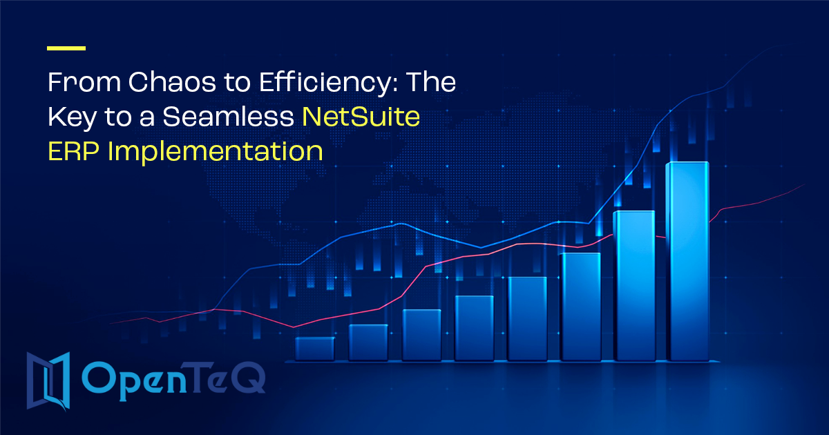 E-Commerce Experiences with NetSuite B2B Portals | OpenTeQ 