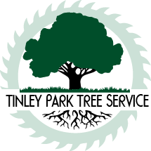 Why should I hire a professional tree trimmer?