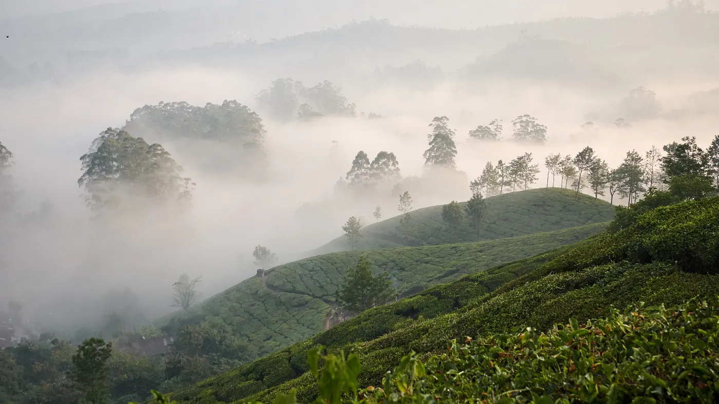 Enhance Your Journey Through India: Essential Travel Tips