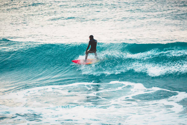 Why Portugal Surf is Perfect for Both Beginners and Pros
