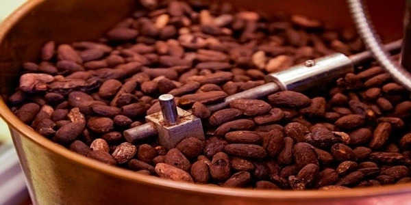 United States Cocoa Processing Market Size, Share & Trends Analysis Report
