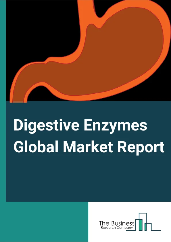 Digestive Enzymes Market Growth Outlook Through 2024-2033