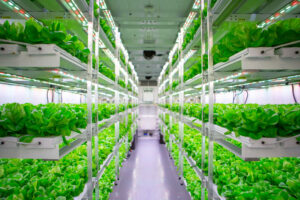 Hydroponics Market Growth Trajectory Through 2024-2033