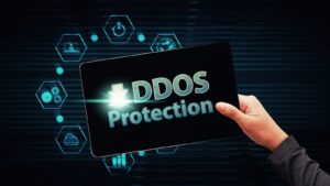 DDoS Protection and Mitigation Market Growth Trajectory Through 2024-2033