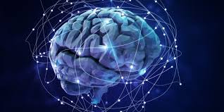 Reinforcement Learning Market Growth Trajectory Through 2024-2033