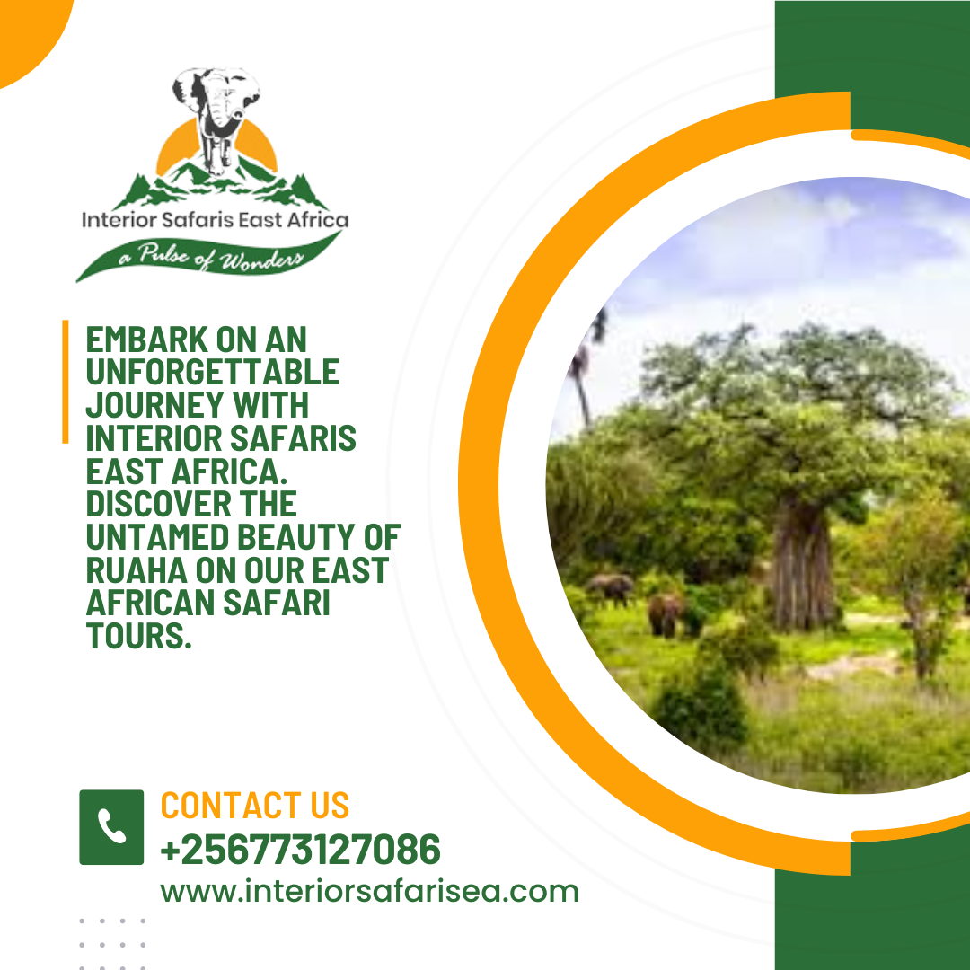 Unveiling Uganda: A Comprehensive Guide to Walking Safaris