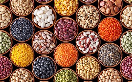 "Cultivating Tomorrow: Future Prospects in the Agricultural Seeds Market"