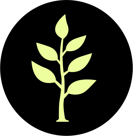 Operations consultant