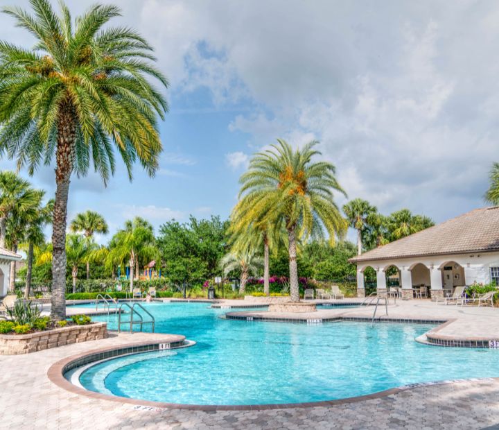 Creating Your Dream Pool: The Basics of Custom Pool Construction
