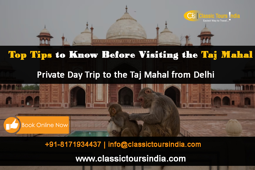 Private Day Trip to the Taj Mahal from Delhi: What You Need to Know