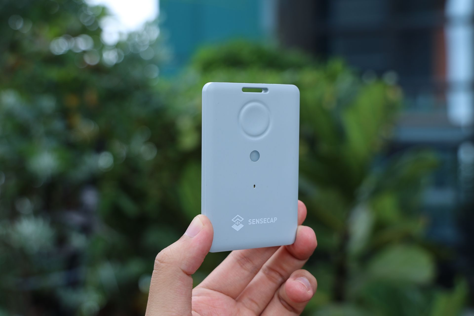 Navigating the Digital Landscape: The Power of Keyword Tracker Tools