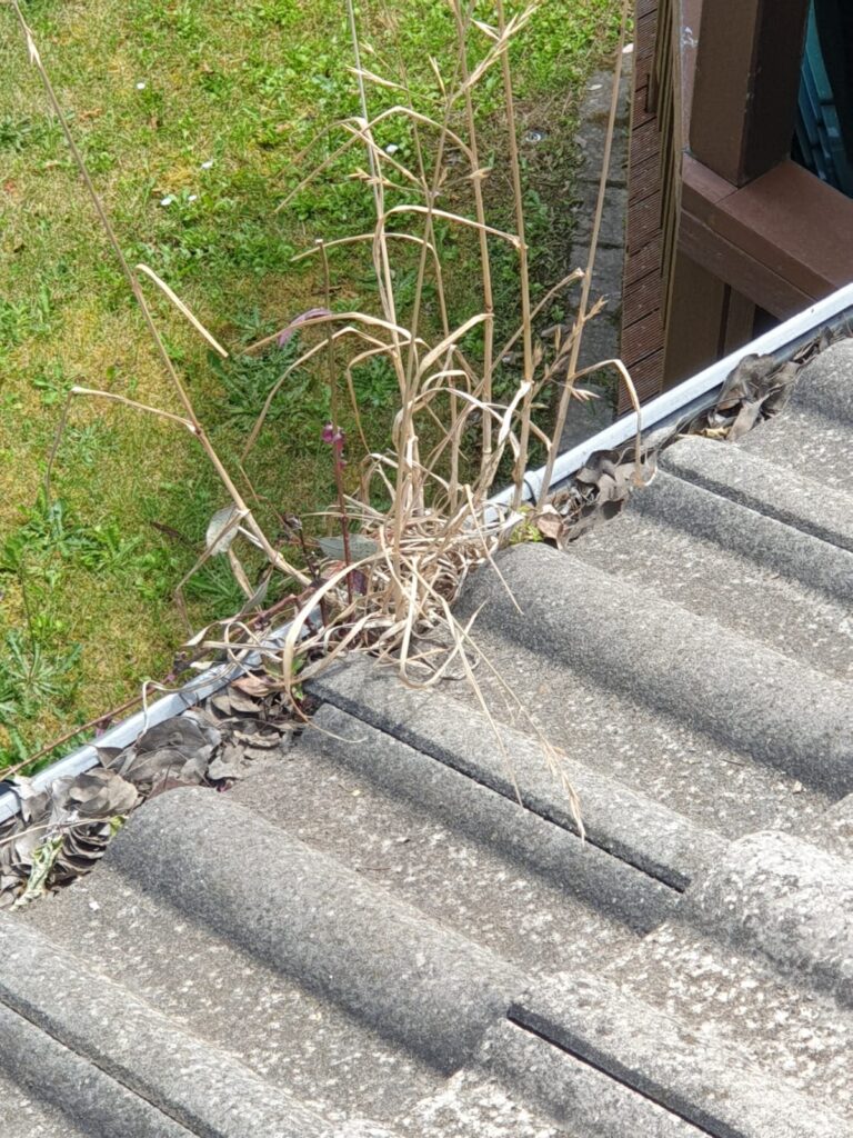 Unblocking The Roof Valley Gutter In Melbourne