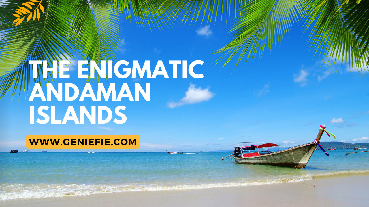 7-Day Family Itinerary in Andaman and Nicobar Islands