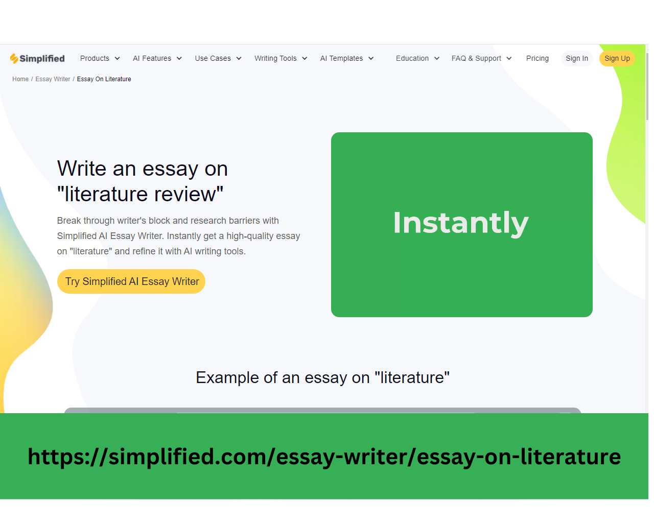 Literature Essay Writer