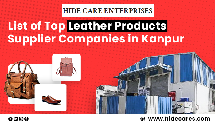 List of Top Leather Products Supplier Companies in Kanpur